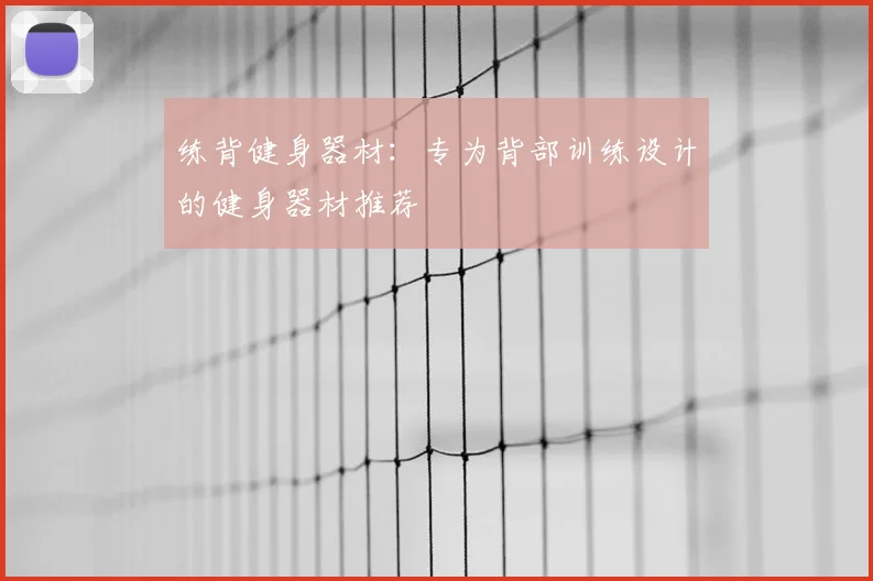 练背健身器材:专为背部训练设计的健身器材推荐